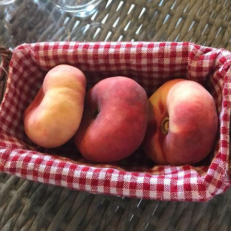 B&B Tour De Saint Anne Azille Екстериор снимка